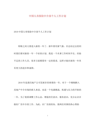 中国人寿保险中介部个人工作计划