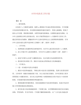 小学少先队员工作计划