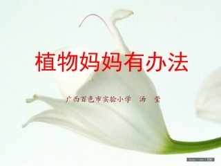 植物妈妈有办法