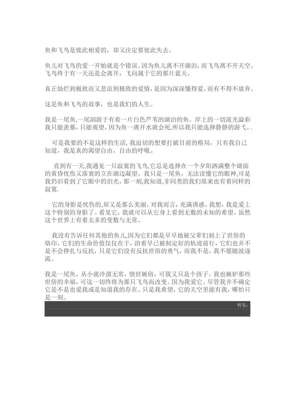 鱼和飞鸟的故事_第3页