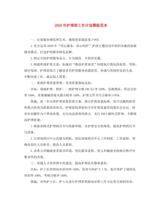 2020年护理部工作计划模板范本