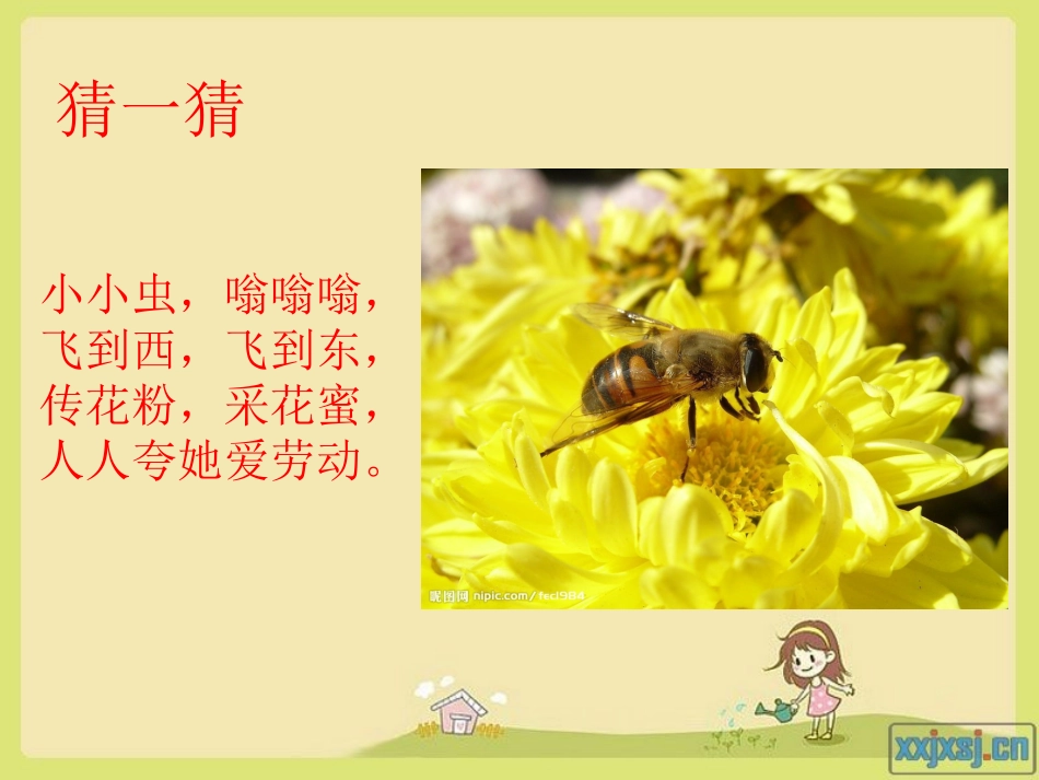 蜜蜂引路 (2)_第2页