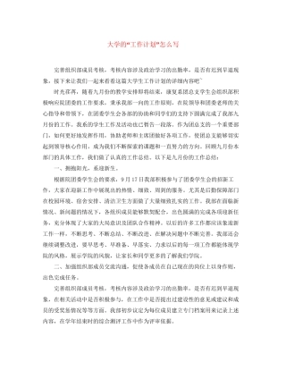 大学的工作计划怎么写