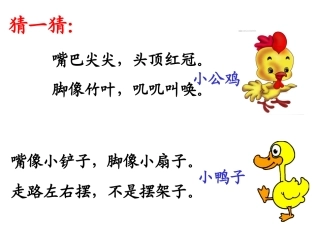 小公鸡和小鸭子