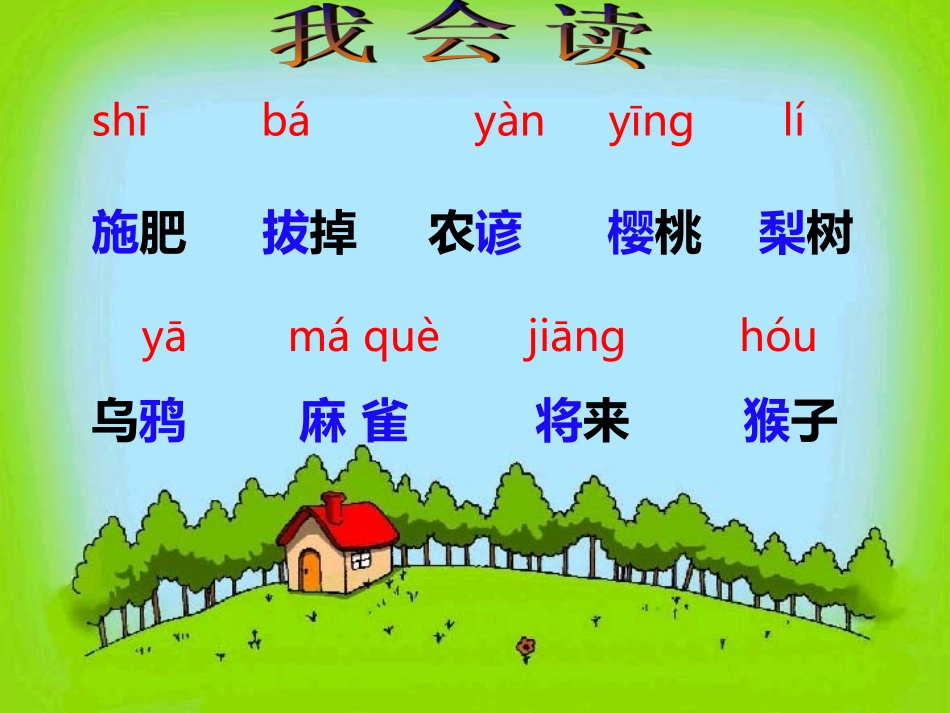 猴子种树课件_第2页