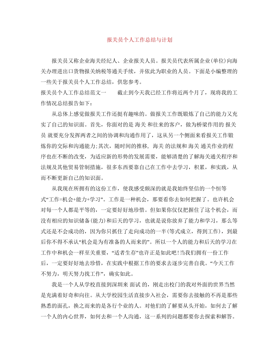 报关员个人工作总结与计划_第1页