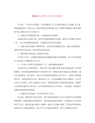 新上任班主任工作计划范文