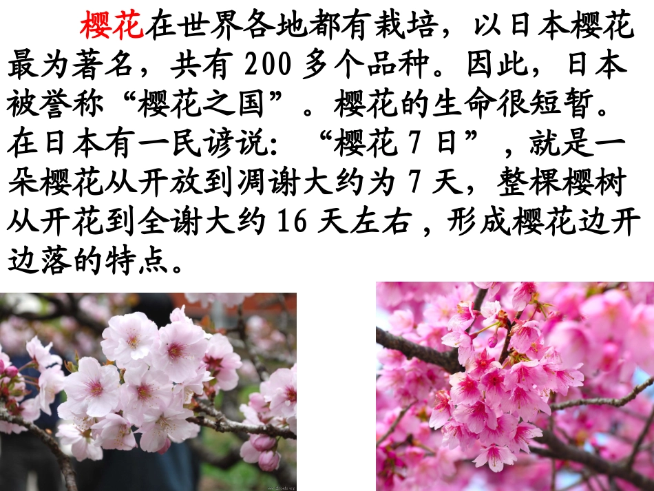 苏教三下练习7_第3页