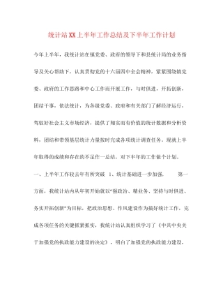 统计站上半年工作总结及下半年工作计划