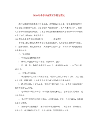 2020年小学毕业班工作计划范文