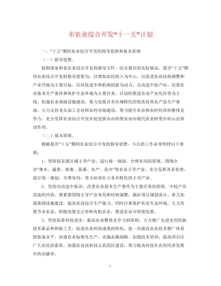 市农业综合开发十一五计划