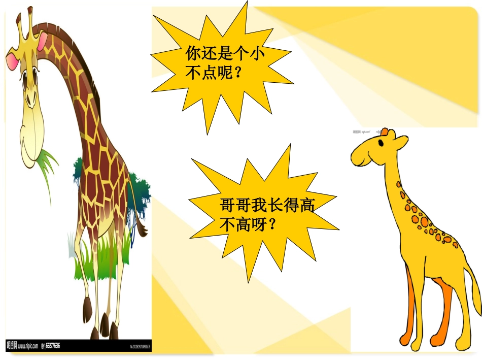 高个子和大胖子_第3页