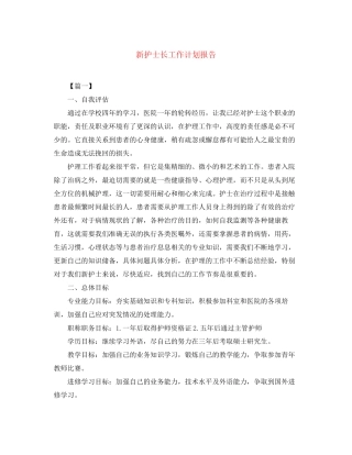 新护士长工作计划报告