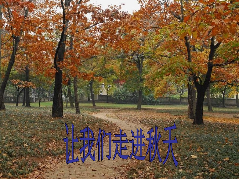 故都的秋 (3)_第1页