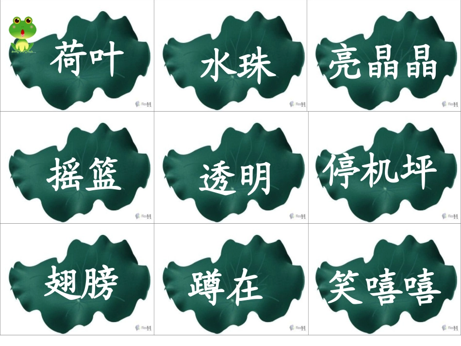 荷叶圆圆课件_第2页