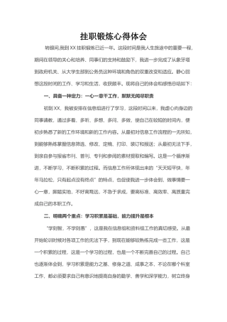 挂职锻炼心得体会