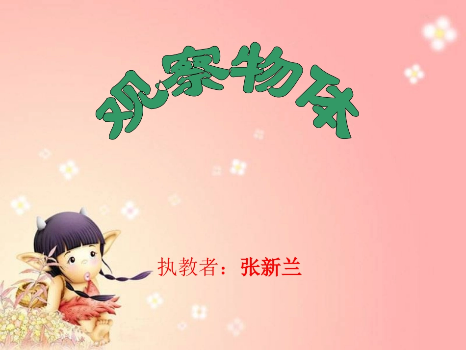 观察物体 (4)_第2页