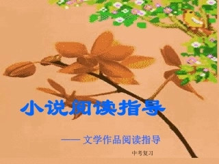 小说阅读复习