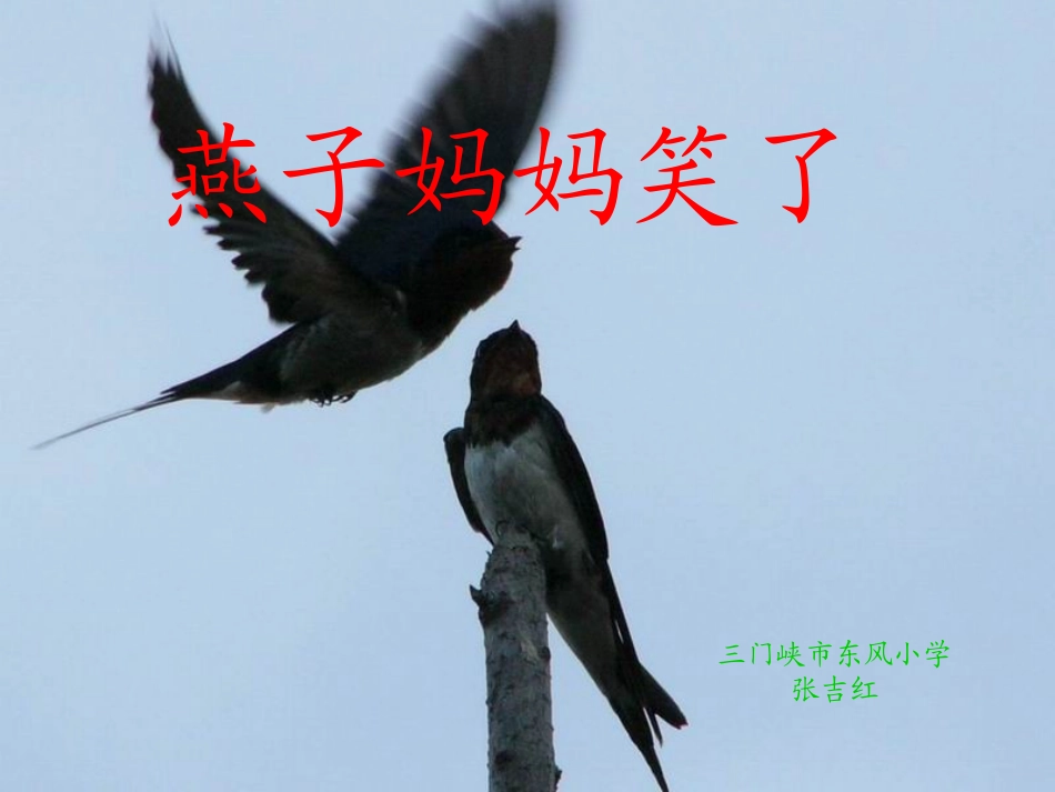 燕子妈妈笑了》_第1页