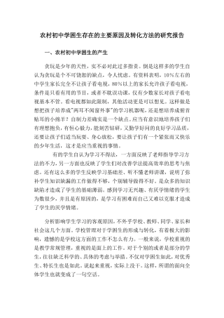 学困生转化报告
