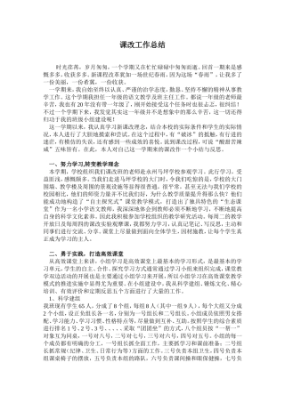 新课改工作总结