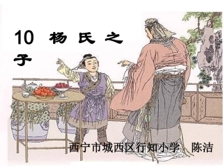 杨氏之子 (4)