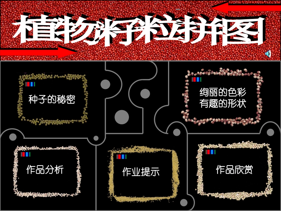 植物籽粒拼图_第1页