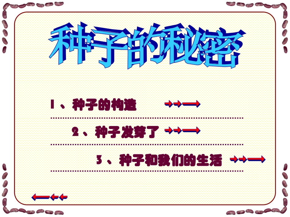 植物籽粒拼图_第2页