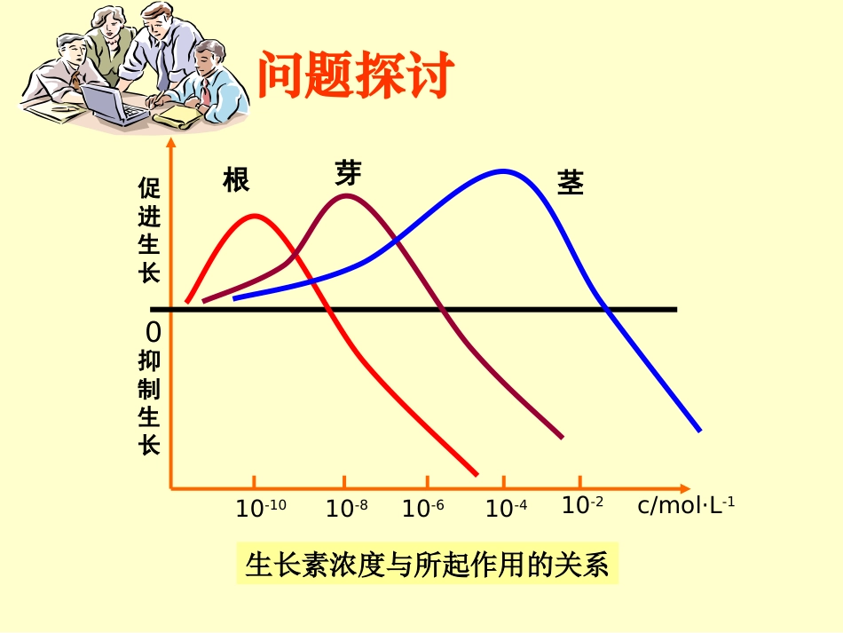植物激素课件_第2页