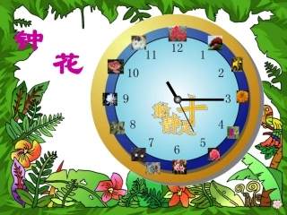 花钟 (4)