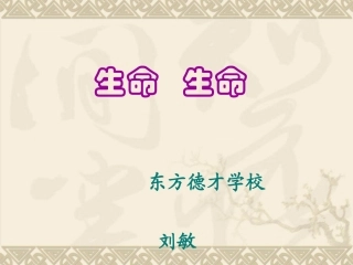 改2生命生命