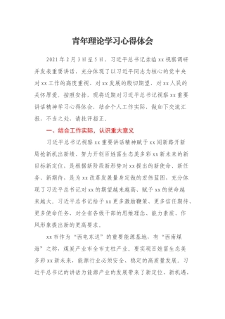 青年理论学习心得体会