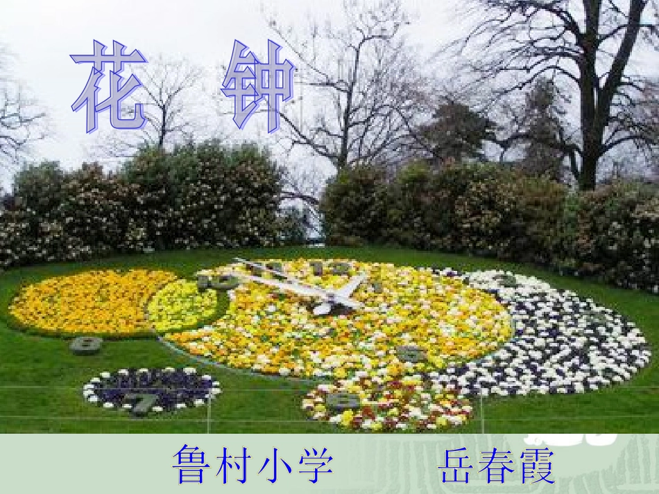 花钟课件岳春霞_第1页