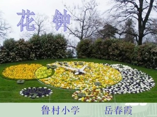 花钟课件岳春霞