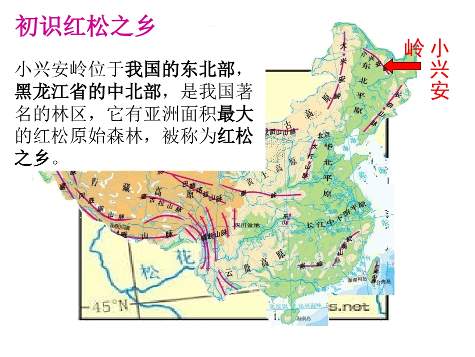 红松之乡课件_第1页