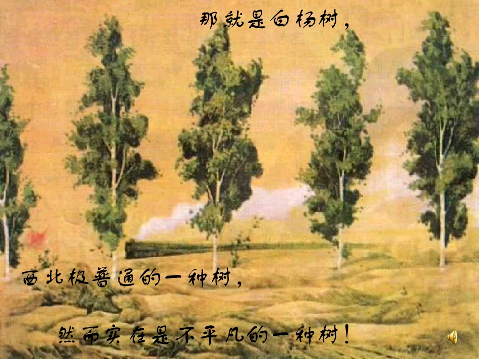 白杨礼赞 (2)_第3页
