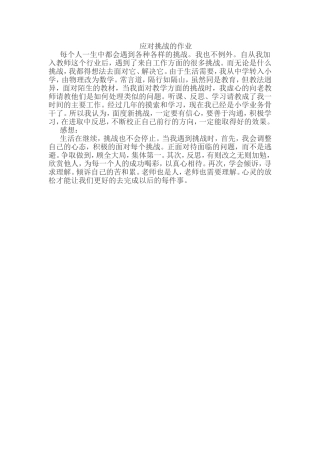 应对挑战的作业