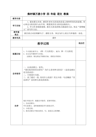 种一片太阳花2