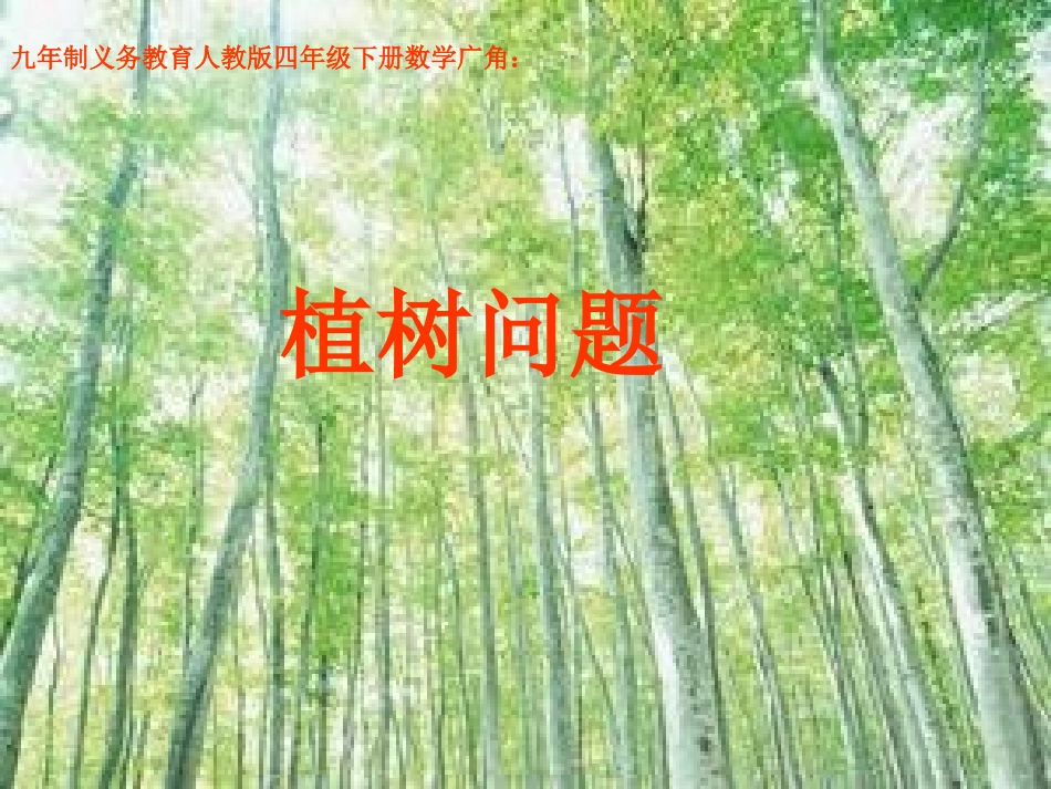 植树问题 (4)_第1页