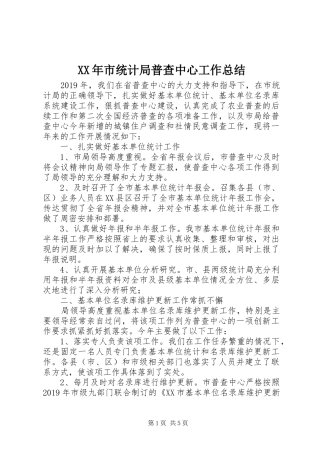 XX年市统计局普查中心工作总结 