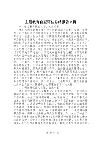 主题教育自查评估总结报告2篇