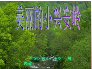 美丽的小兴安岭