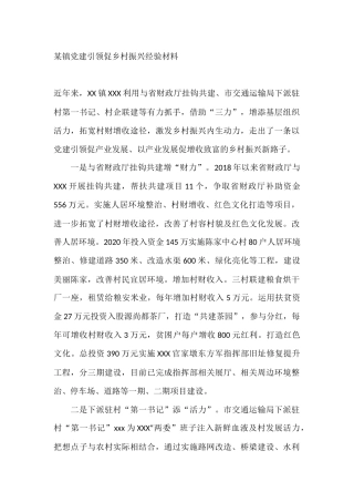 某镇党建引领促乡村振兴经验材料