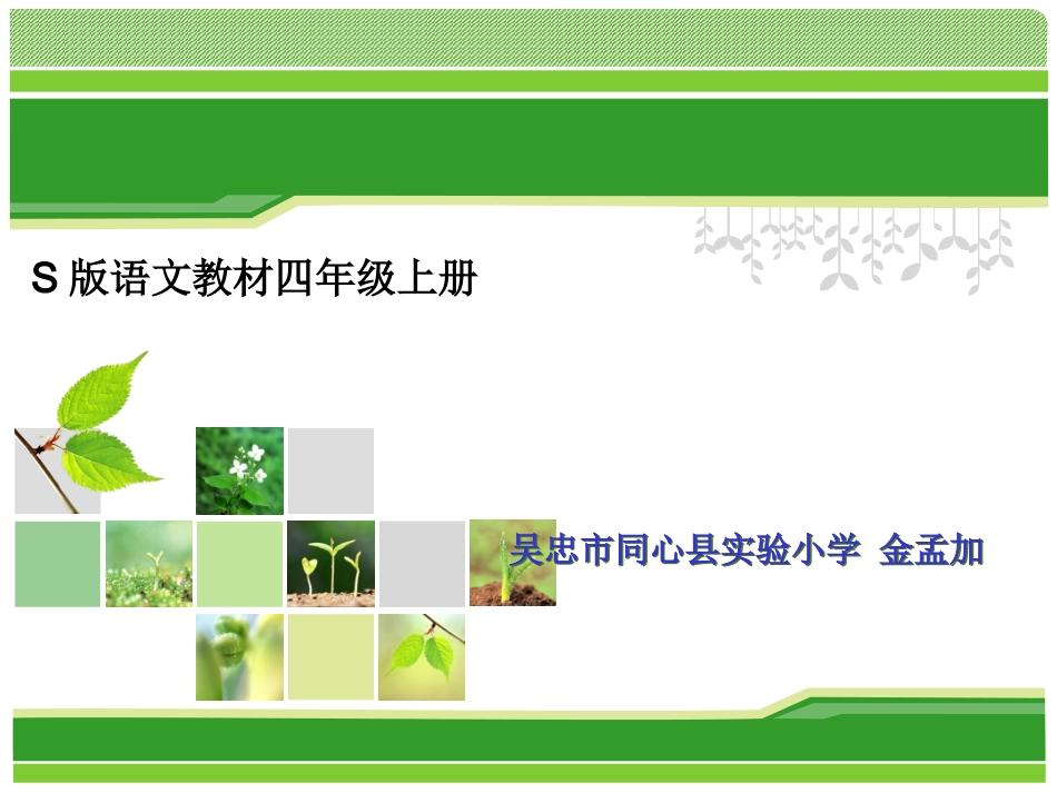 蒲公英的梦说课_第1页