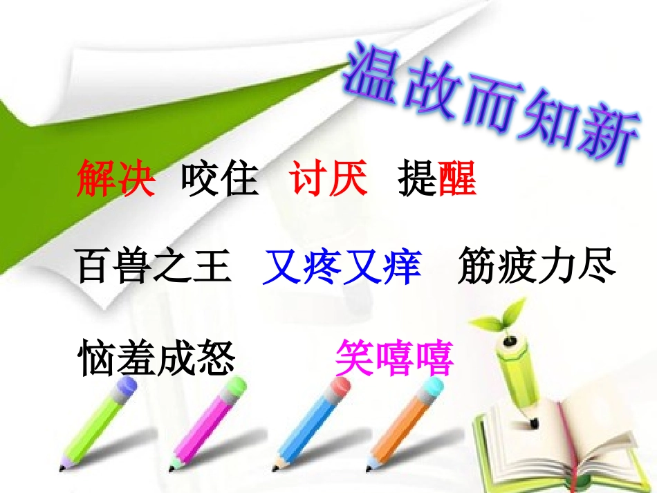 狮子和兔子课件_第3页