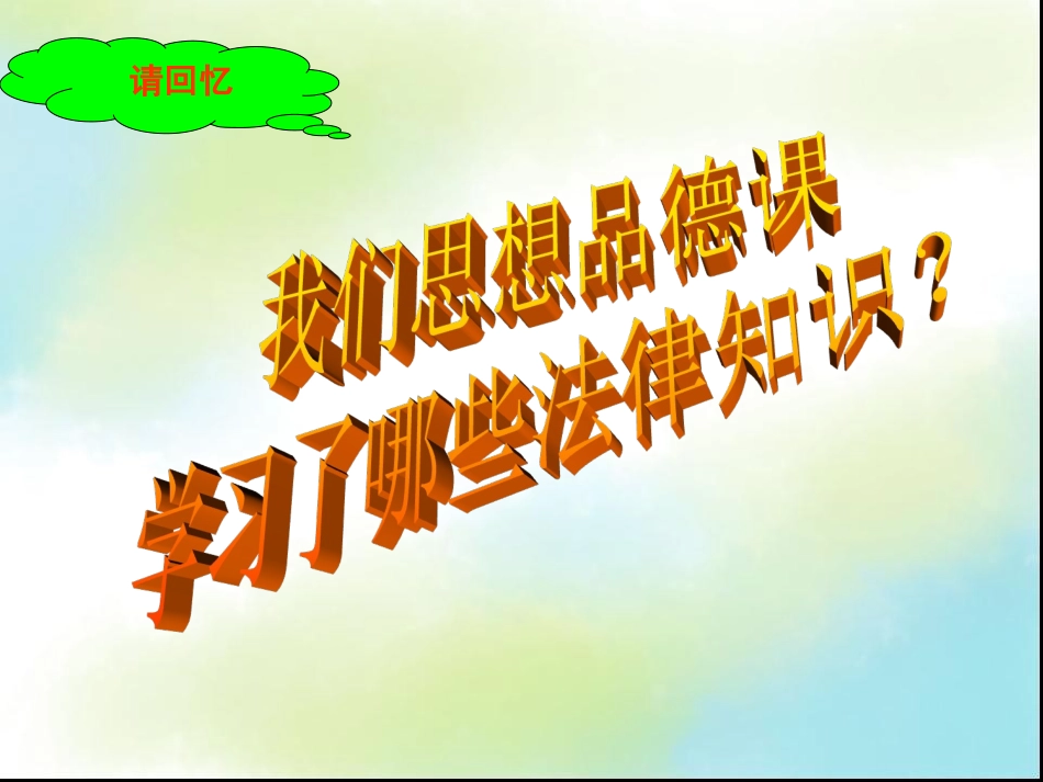 法律专题复习3_第2页