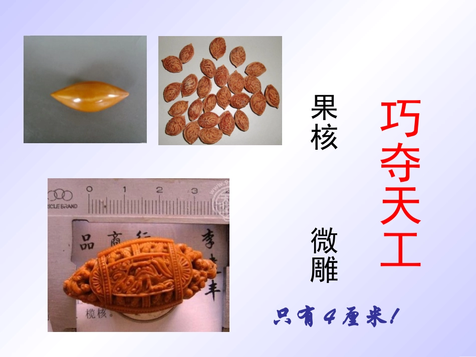 核舟记(1)_第1页