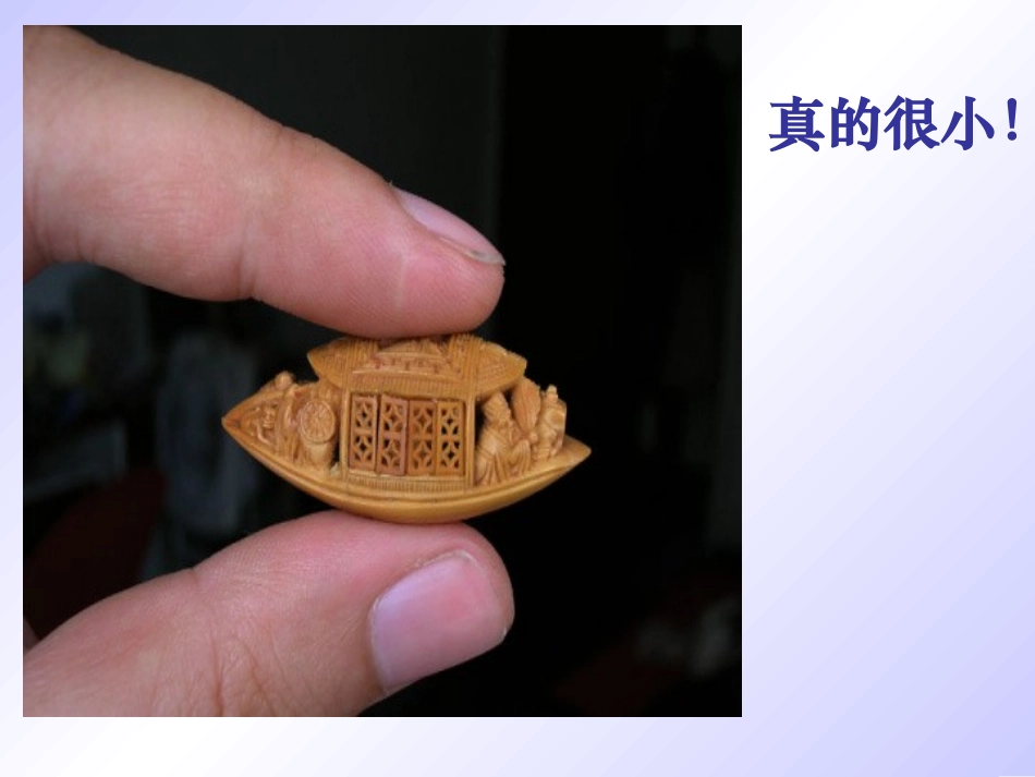 核舟记(1)_第2页