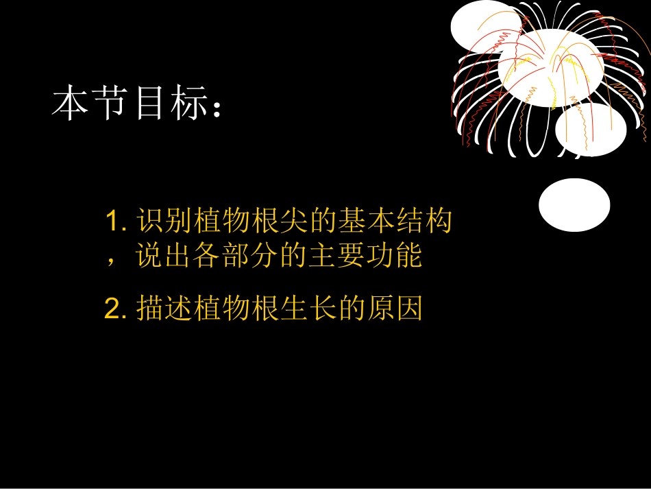 植物根的生长_第2页