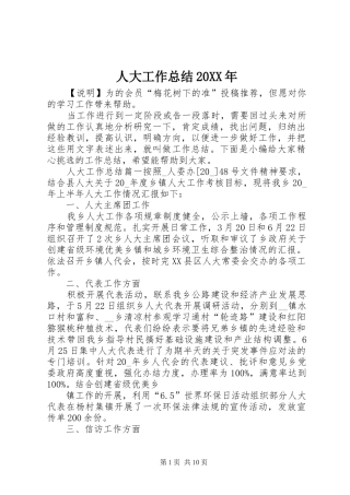 人大工作总结20XX年